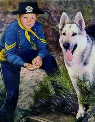  Adventures of Rin Tin Tin -  Treue Pfoten, packende Westernabenteuer und der Star eines deutschen Schäferhundes!